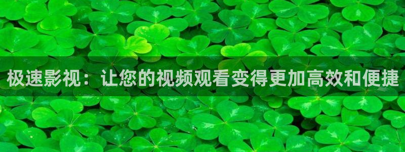 苍苍午夜影视：极速影视：让您的视频观看变得更加高效和便捷