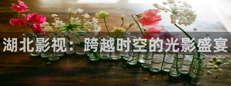 苍苍影院电视剧免费看：湖北影视：跨越时空的光影盛宴