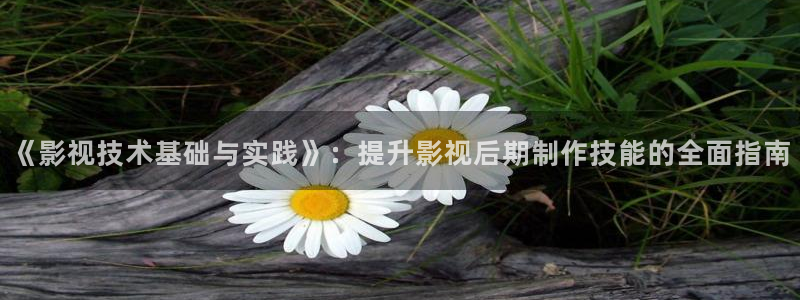 yy苍苍影院：《影视技术基础与实践》：提升影视后期制作技能的全面指南