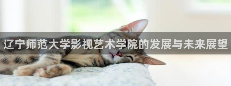 苍苍影院视频：辽宁师范大学影视艺术学院的发展与未来展望