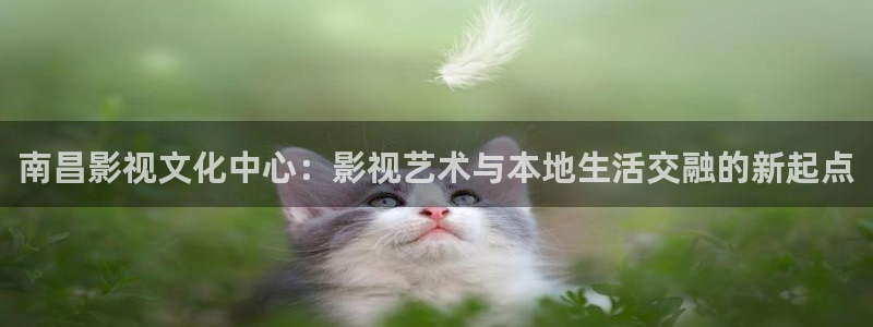 苍苍影院午夜最新：南昌影视文化中心：影视艺术与本地生活交融的新起点