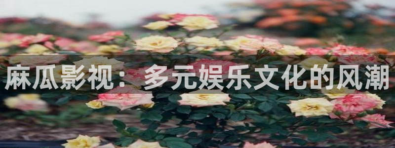 苍苍电影院：麻瓜影视：多元娱乐文化的风潮
