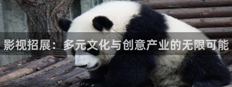 yy苍苍影院：影视招展：多元文化与创意产业的无限可能