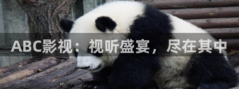 苍苍影院免费观看的电视剧：ABC影视：视听盛宴，尽在其中
